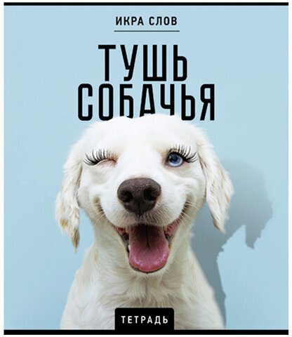 Тетрадь А5 48 л., ПЗБМ, скоба, клетка, конгрев, TWIN-лак, "Икра слов", (5 видов), 27377