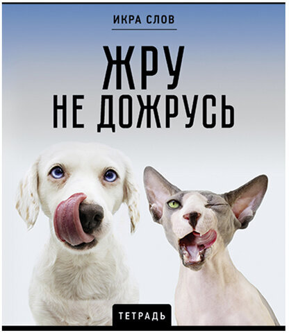 Тетрадь А5 48 л., ПЗБМ, скоба, клетка, конгрев, TWIN-лак, "Икра слов", (5 видов), 27377