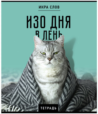 Тетрадь А5 48 л., ПЗБМ, скоба, клетка, конгрев, TWIN-лак, "Икра слов", (5 видов), 27377