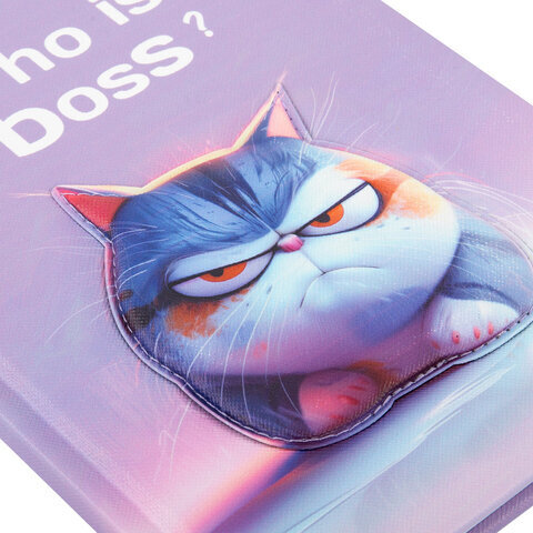 Дневник 1-11 класс 48 л., обложка кожзам (твердая с поролон), 3D-элемент, BRAUBERG, "Суровый кот", 107221