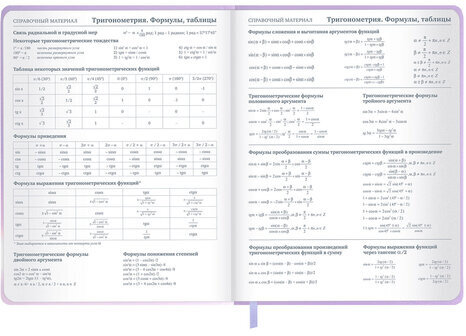Дневник 1-11 класс 48 л., обложка кожзам (твердая с поролон), 3D-элемент, BRAUBERG, "Суровый кот", 107221