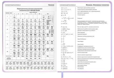 Дневник 1-11 класс 48 л., обложка кожзам (твердая с поролон), 3D-элемент, BRAUBERG, "Суровый кот", 107221