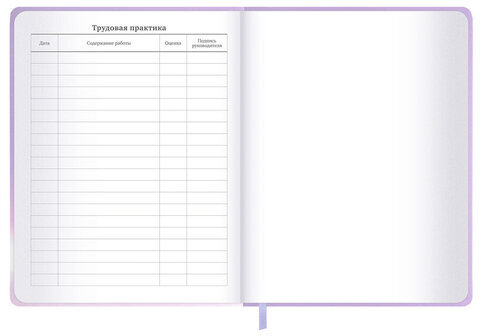 Дневник 1-11 класс 48 л., обложка кожзам (твердая с поролон), 3D-элемент, BRAUBERG, "Суровый кот", 107221
