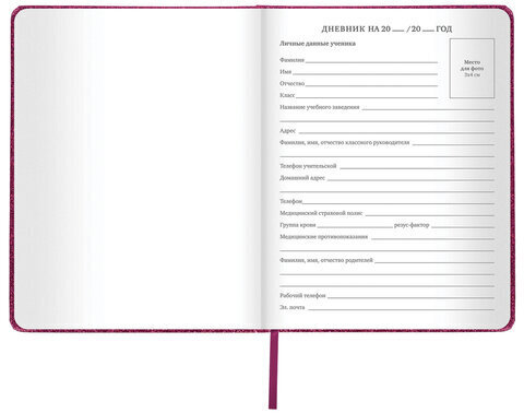 Дневник 1-11 класс 48 л., кожзам (твердая с поролоном), фольга, BRAUBERG "SPARKLE", розовый, 105463