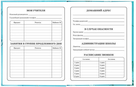 Дневник 1-4 класс 48 л., твердый, BRAUBERG, глянцевая ламинация, с подсказом, "Милые Коалы", 106358