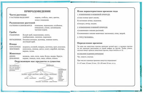 Дневник 1-4 класс 48 л., твердый, BRAUBERG, глянцевая ламинация, с подсказом, "Милые Коалы", 106358