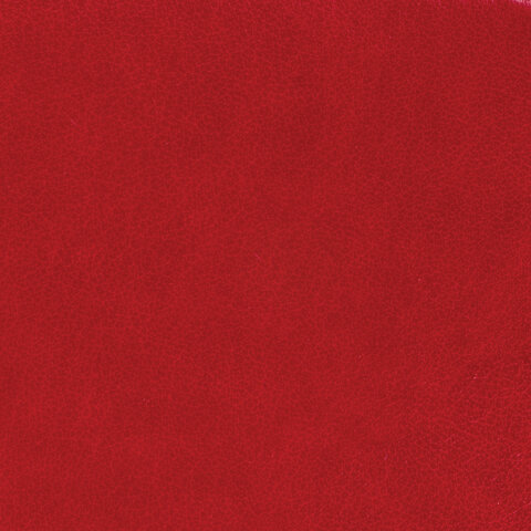 Ежедневник недатированный А5 138х213 мм BRAUBERG "Rainbow" под кожу, 136 л., красный, 111667