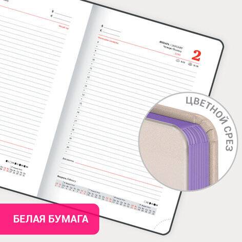 Ежедневник датированный 2025 А5 138x213 мм, BRAUBERG "Vista", под кожу твердый, "Пейзаж", 115874