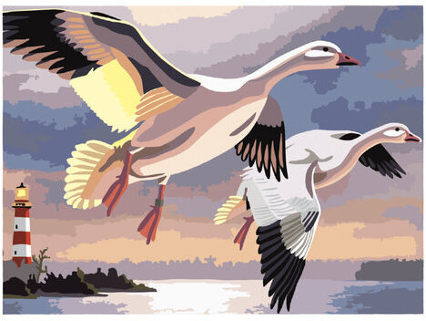 Картина по номерам А3, ОСТРОВ СОКРОВИЩ "ГУСИ", С АКРИЛОВЫМИ КРАСКАМИ, картон, кисть, 661633