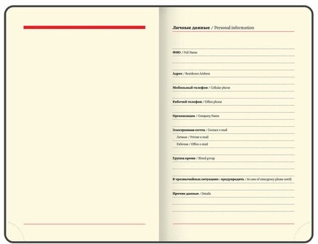 Ежедневник недатированный МАЛЫЙ ФОРМАТ 100x150мм А6 BRAUBERG Iguana под кожу, 160 л., розовый, 114469