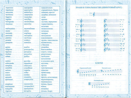 Дневник для музыкальной школы 140х210 мм, 48 л., твердый, BRAUBERG, выборочный лак, справочный материал, "Корнет", 104977