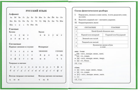 Дневник 1-4 класс 48 л., твердый, BRAUBERG, глянцевая ламинация, с подсказом, "Авокадики", 106359