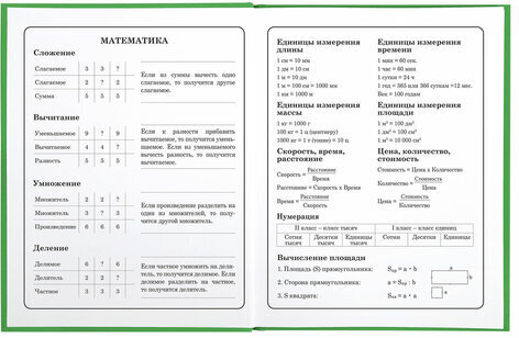 Дневник 1-4 класс 48 л., твердый, BRAUBERG, глянцевая ламинация, с подсказом, "Авокадики", 106359