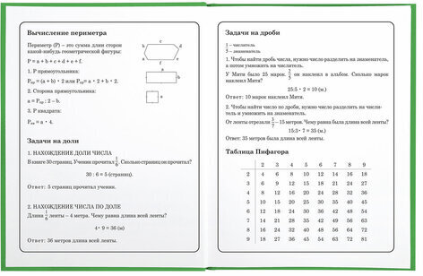 Дневник 1-4 класс 48 л., твердый, BRAUBERG, глянцевая ламинация, с подсказом, "Авокадики", 106359