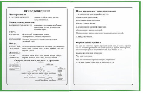 Дневник 1-4 класс 48 л., твердый, BRAUBERG, глянцевая ламинация, с подсказом, "Авокадики", 106359