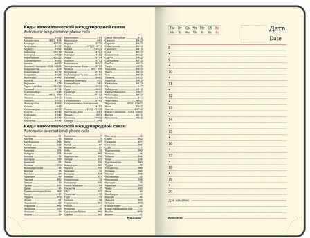 Ежедневник недатированный МАЛЫЙ ФОРМАТ 100x150 мм А6 BRAUBERG "Iguana", под кожу,160 л., сиреневый, 114470