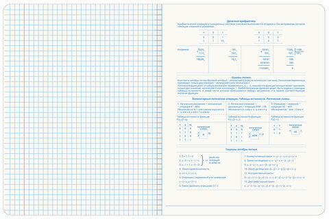 Тетрадь предметная со справочным материалом ORIGINAL 48 л., TWIN лак, ИНФОРМАТИКА, клетка, BRAUBERG, 404303