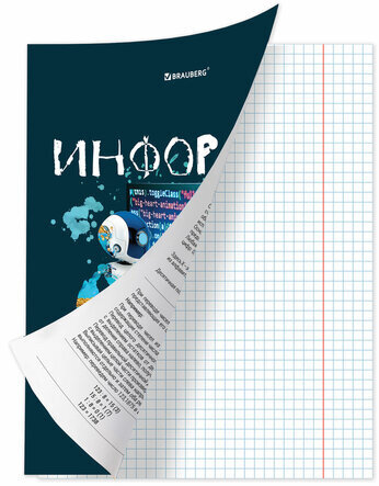 Тетрадь предметная со справочным материалом ORIGINAL 48 л., TWIN лак, ИНФОРМАТИКА, клетка, BRAUBERG, 404303