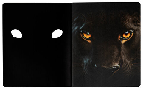 Тетрадь А5 48 л., ПЗБМ, скоба, клетка, матовая ламинация, брайль 3D, вырубка, "Кто это" (5 видов), 25045