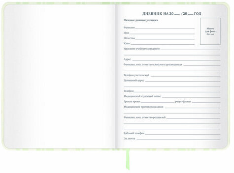 Дневник 1-11 класс 48 л., кожзам (твердая с поролоном), печать, наклейки, BRAUBERG, "Relax", 106190