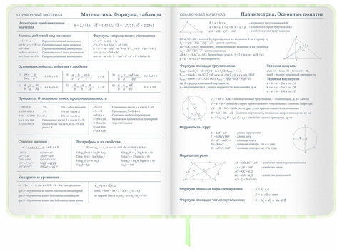 Дневник 1-11 класс 48 л., кожзам (твердая с поролоном), печать, наклейки, BRAUBERG, "Relax", 106190