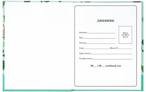 Дневник 1-4 класс 48 л., твердый, BRAUBERG, глянцевая ламинация, с подсказом, "Ленивцы", 106361