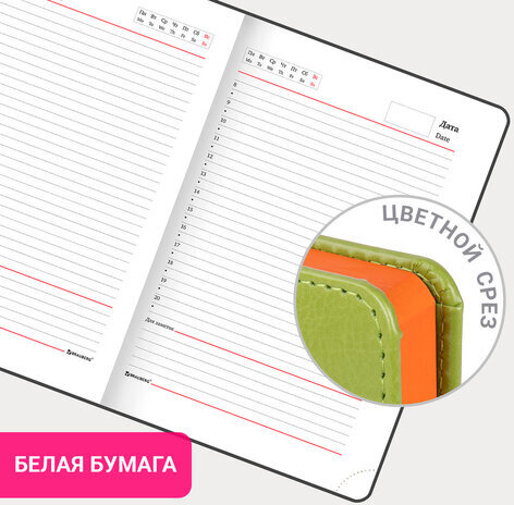 Ежедневник недатированный А5 138х213 мм BRAUBERG "Rainbow" под кожу, 136 л., зеленый, 111669