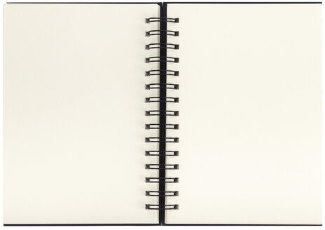 Скетчбук, слоновая кость 100 г/м2, 148х210 мм, 80 л., гребень, твердая обложка, BRAUBERG ART, 115109