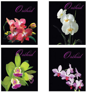 Тетрадь А5, 48 л., BRAUBERG, клетка, обложка картон, ОРХИДЕИ, 401287