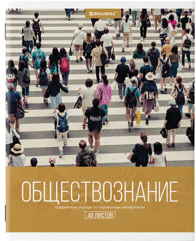 Тетради предметные, КОМПЛЕКТ 10 ПРЕДМЕТОВ, "КЛАССИКА XXI", 48 л., обложка картон, BRAUBERG, 404025