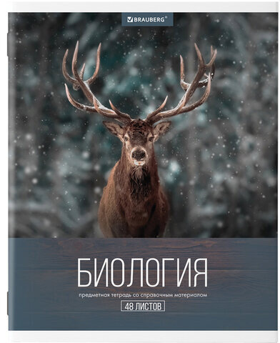 Тетради предметные, КОМПЛЕКТ 10 ПРЕДМЕТОВ, "КЛАССИКА XXI", 48 л., обложка картон, BRAUBERG, 404025