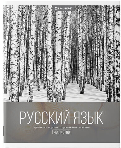 Тетради предметные, КОМПЛЕКТ 10 ПРЕДМЕТОВ, "КЛАССИКА XXI", 48 л., обложка картон, BRAUBERG, 404025