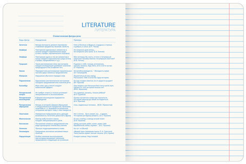 Тетрадь предметная со справочным материалом ORIGINAL 48 л., TWIN лак, ЛИТЕРАТУРА, линия, BRAUBERG, 404305