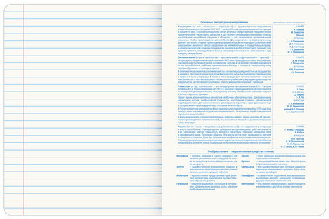 Тетрадь предметная со справочным материалом ORIGINAL 48 л., TWIN лак, ЛИТЕРАТУРА, линия, BRAUBERG, 404305