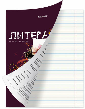 Тетрадь предметная со справочным материалом ORIGINAL 48 л., TWIN лак, ЛИТЕРАТУРА, линия, BRAUBERG, 404305