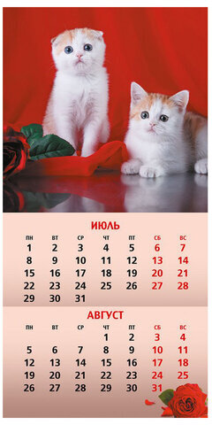 Календарь настенный перекидной на 2024 г., 6 л., 30х30 см, Эконом, "КотоМания", HATBER, 6Кнп4_28450