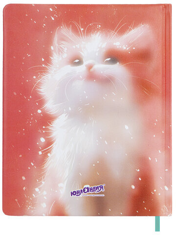 Дневник 1-4 класс 48л, кожзам (твердая с поролоном), печать, аппликация, ЮНЛАНДИЯ, Котик, 107224