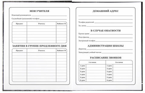 Дневник 1-4 класс 48 л., твердый, BRAUBERG, выборочный лак, с подсказом, "Крутой байк", 106362