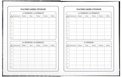 Дневник 1-4 класс 48 л., твердый, BRAUBERG, выборочный лак, с подсказом, "Крутой байк", 106362