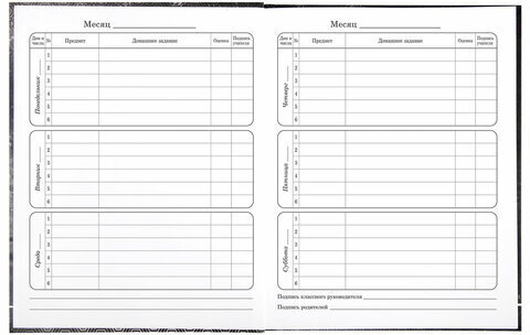 Дневник 1-4 класс 48 л., твердый, BRAUBERG, выборочный лак, с подсказом, "Крутой байк", 106362