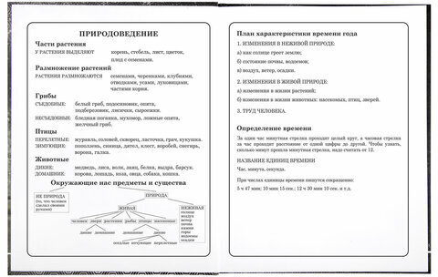 Дневник 1-4 класс 48 л., твердый, BRAUBERG, выборочный лак, с подсказом, "Крутой байк", 106362
