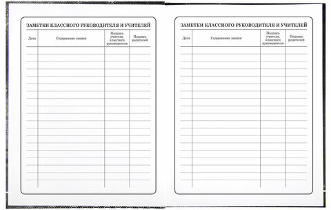 Дневник 1-4 класс 48 л., твердый, BRAUBERG, выборочный лак, с подсказом, "Крутой байк", 106362