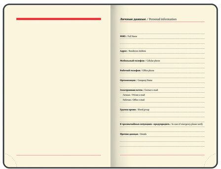 Ежедневник недатированный МАЛЫЙ 100х150 мм А6 BRAUBERG "Metropolis Mix", под кожу, 136 л., красный, 113304