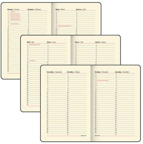 Ежедневник недатированный МАЛЫЙ 100х150 мм А6 BRAUBERG "Metropolis Mix", под кожу, 136 л., красный, 113304