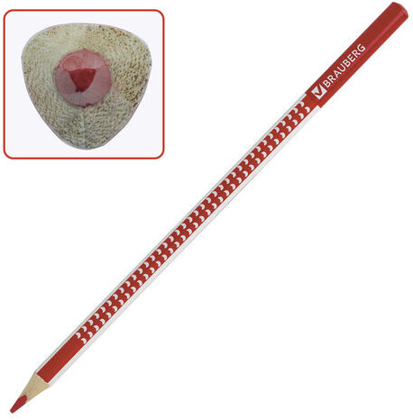 Карандаши цветные BRAUBERG "Бабочки", набор 12 цветов, трехгранные, корпус с полосками, 181285