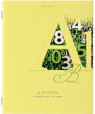 Тетради предметные, КОМПЛЕКТ 12 ПРЕДМЕТОВ, ПАСТЕЛЬНАЯ, 48 листов, обложка картон, BRAUBERG, 404026
