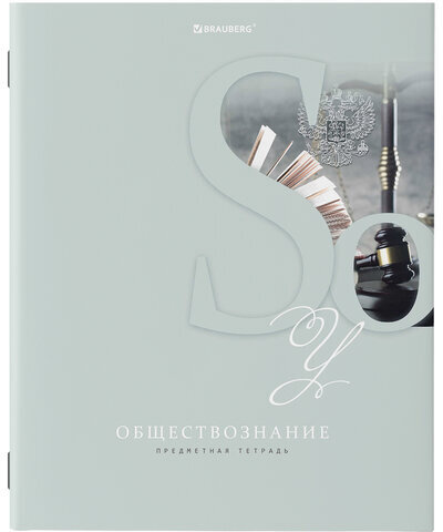 Тетради предметные, КОМПЛЕКТ 12 ПРЕДМЕТОВ, ПАСТЕЛЬНАЯ, 48 листов, обложка картон, BRAUBERG, 404026