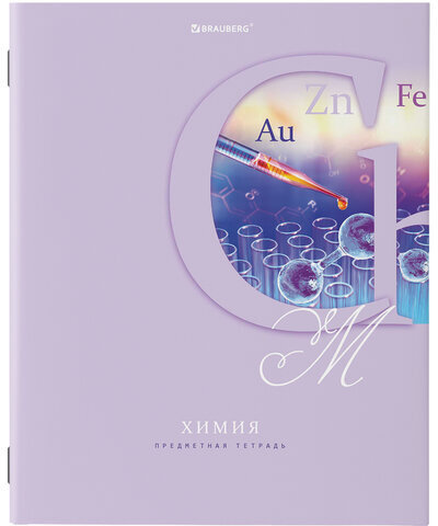 Тетради предметные, КОМПЛЕКТ 12 ПРЕДМЕТОВ, ПАСТЕЛЬНАЯ, 48 листов, обложка картон, BRAUBERG, 404026