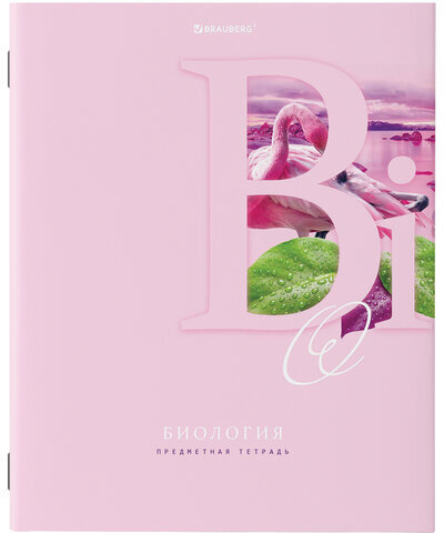 Тетради предметные, КОМПЛЕКТ 12 ПРЕДМЕТОВ, ПАСТЕЛЬНАЯ, 48 листов, обложка картон, BRAUBERG, 404026
