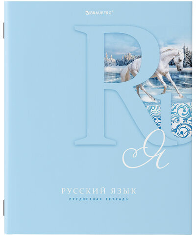 Тетради предметные, КОМПЛЕКТ 12 ПРЕДМЕТОВ, ПАСТЕЛЬНАЯ, 48 листов, обложка картон, BRAUBERG, 404026